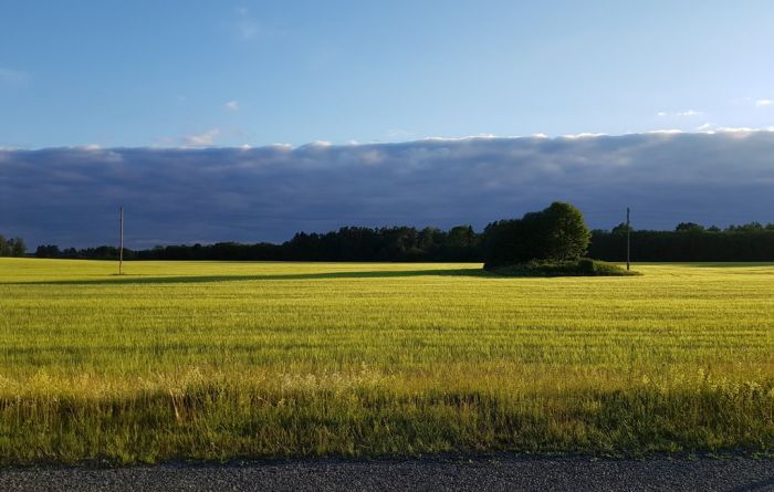 Foto - Inese Gura un arhīvs