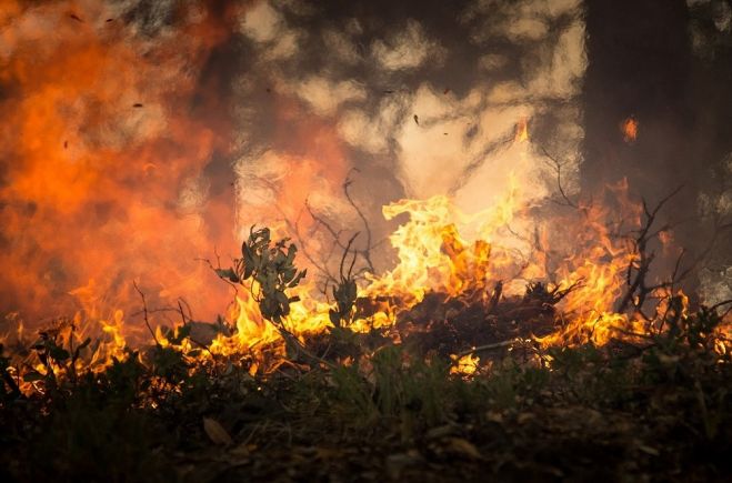 Upeslejās degusi meža zemsedze lielās platībās; ugunsgrēkā Olaines novadā cietis cilvēks