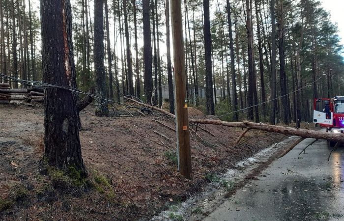 Foto - "Sadales tīkls"