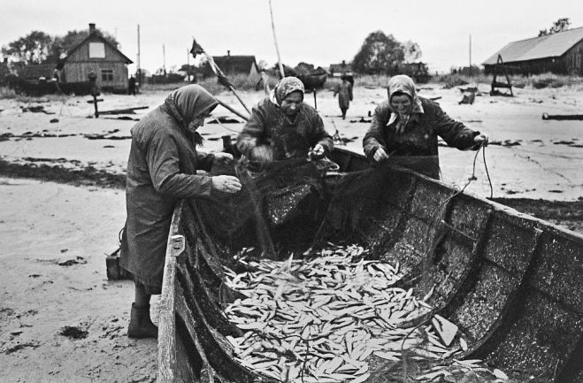 Zvejnieku sievas vīrus sagaida krastā – sākas tarāšana, visas zivtiņas izlasot un izkratot no tīkliem. Foto – Valdis Brauns