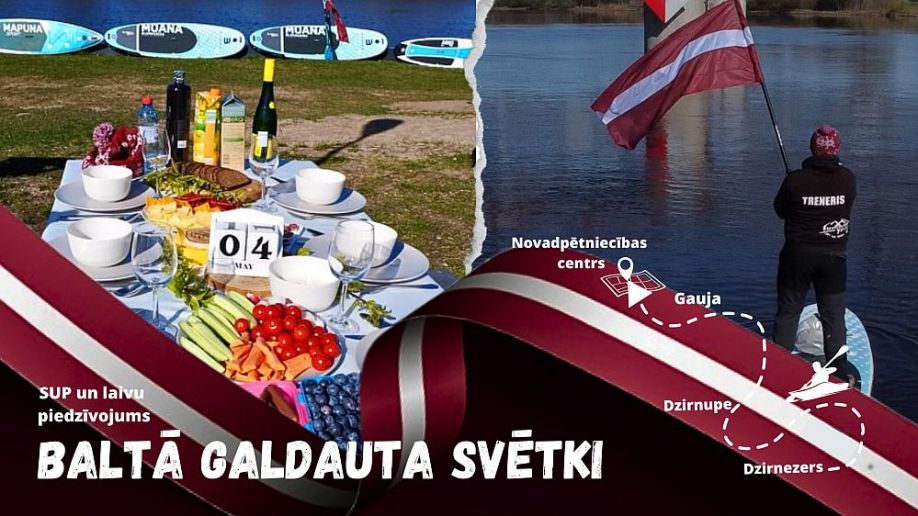 Ķekavas novada domes priekšsēdētāja Viktorija Baire izstājas no Jaunās konservatīvās partijas