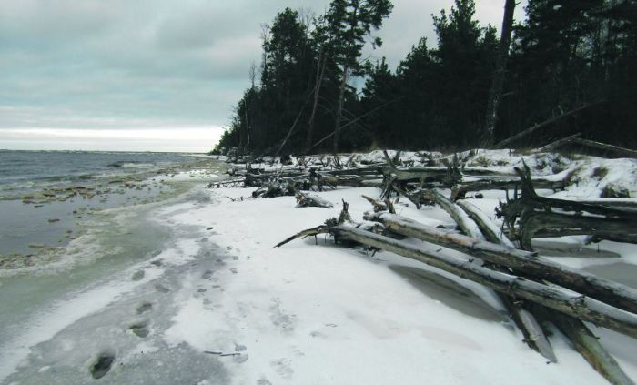 Krasta līnijas noskalojumu apjoms ir atkarīgs gan no vētrām, gan ledus esamības ziemā. Ne vienmēr to var saistīt ar klimata pārmaiņām. Foto – Arnis Švānfelds