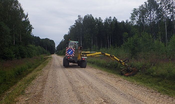 Foto - Latvijas valsts meži