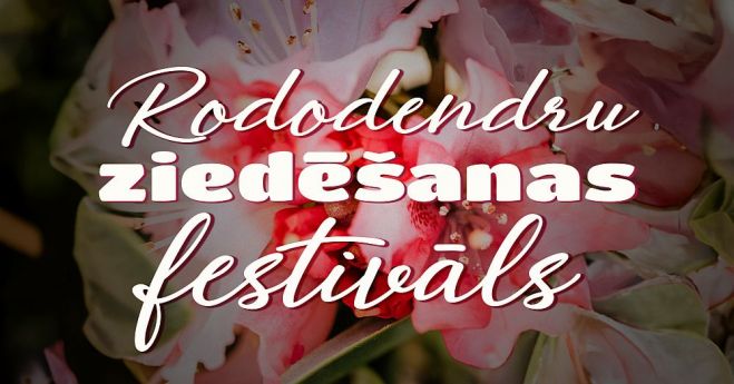 30.V – 1.VI Rododendru ziedēšanas festivāls Babītē
