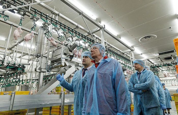 Valsts prezidents Edgars Rinkēvičs darba vizītes laikā apmeklē A/S “Putnu fabrika Ķekava”. Foto - Dāvis Doršs, Valsts prezidenta kanceleja
