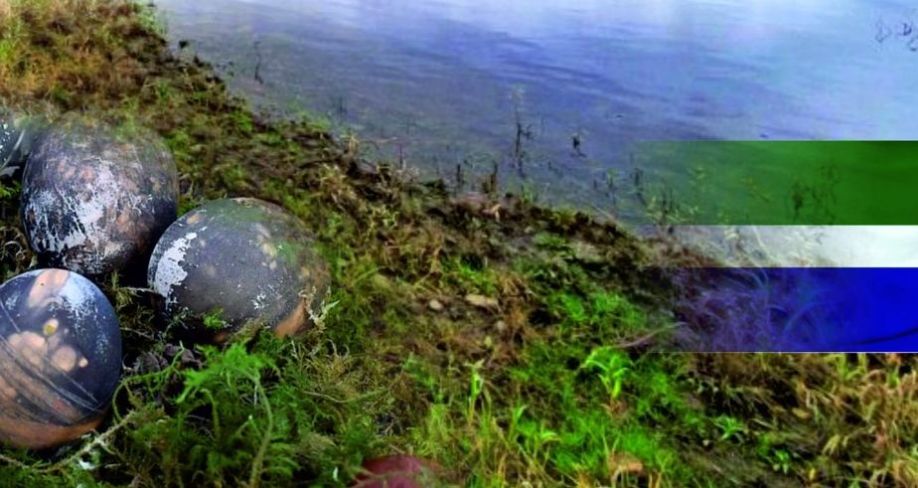 Aptauja: 30% jauniešu vēlamais ikmēneša atalgojums ir no 801 līdz 1200 eiro