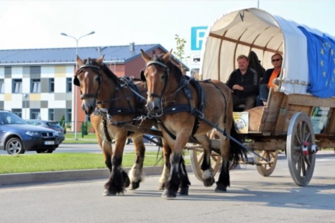 Foto: Ķekavā viesojusies zirgu pajūgu karavāna; tā piestās arī Etnogrāfiskajā brīvdabas muzejā