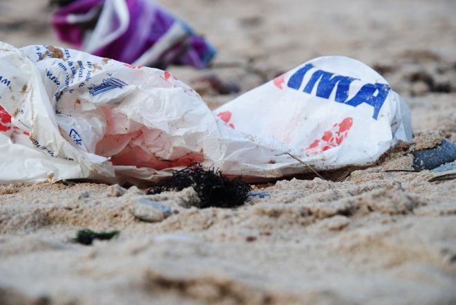 Jūrā mītošajiem dzīvniekiem bīstama ir mikroplastmasa, kas rodas, sadaloties plastmasas atkritumiem. Foto: Normunds Smaļinskis
