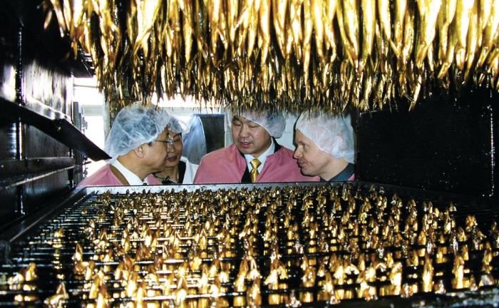 AS “Brīvais vilnis” valdes priekšsēdētājs Arnolds Babris (no labās) viesiem no Ķīnas rāda, kā top zeltainā šprotu izejviela. Foto – publicitātes