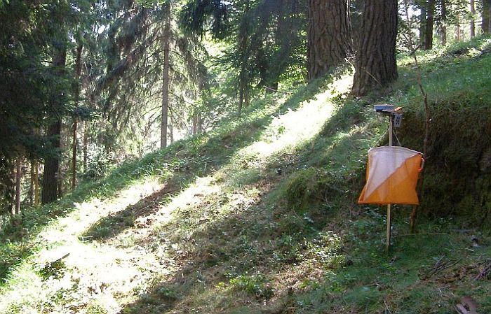 20.X Orientēšanās sacensības "Kāpas kausi" Carnikavā