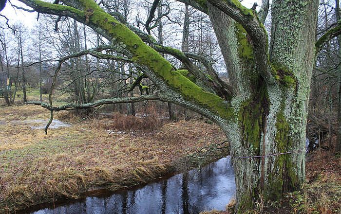 Attēlam ir ilustratīva nozīme. Foto - arhīvs