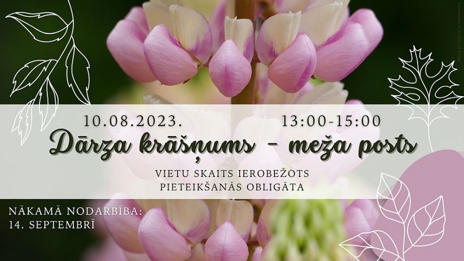 "Garkalne" / "Livonia" otro gadu pēc kārtas izcīna Latvijas kausu regbijā