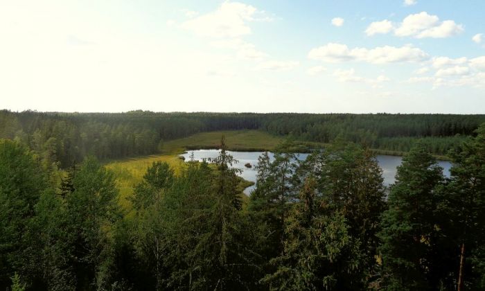 Foto - arhīvs