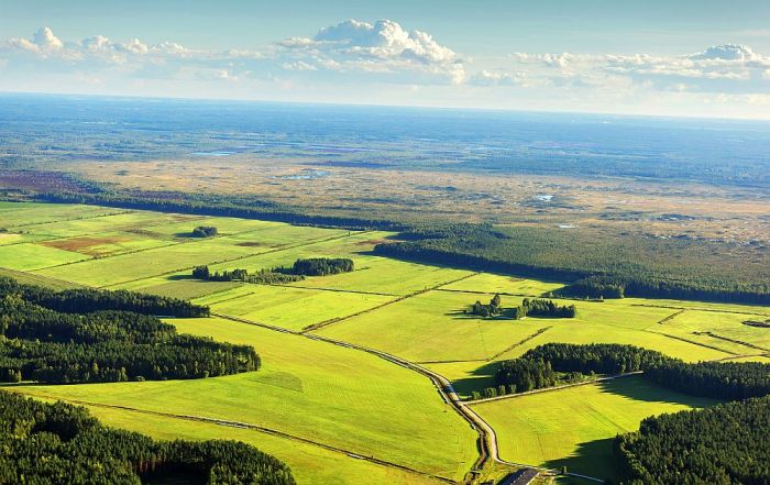 Foto, infografika - Mārupes novada pašvaldība