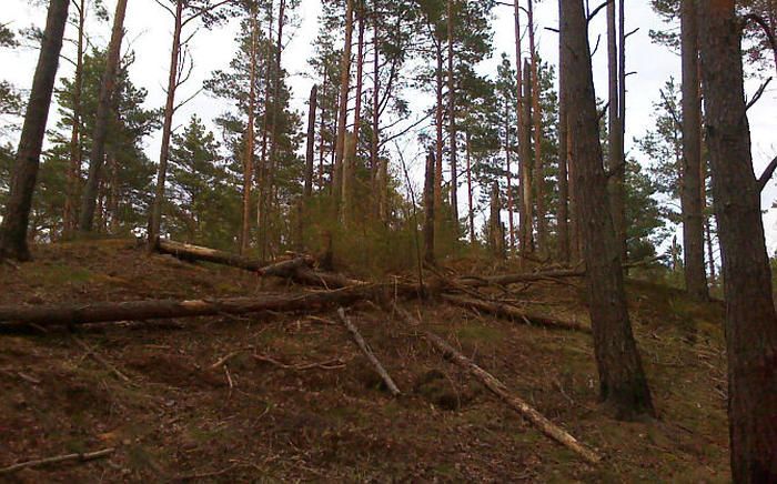 Attēlam ir ilustratīva nozīme. Foto - arhīvs