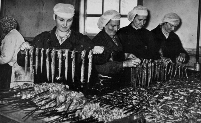 Zivju vērējas Skultes zivju fabrikā 70.gados. Foto dāvinājusi Vaira Cīrule. Foto – Arvīds Treijs. No Saulkrastu Kultūras centra krājuma.