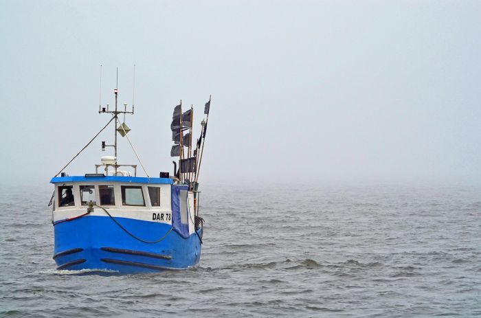Pasaules Dabas fonds: ES lēmums par nozvejas kvotām Baltijas jūrā nav ilgtspējīgs