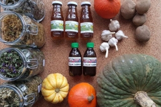 Paši sevi pabarosim. Atgriežamies pie saknēm