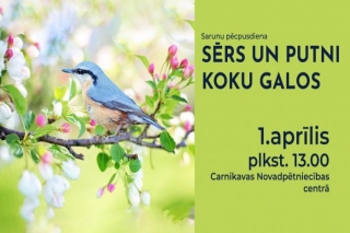 1.IV Sarunu pēcpusdiena "Sērs un putni koku galos" Carnikavā