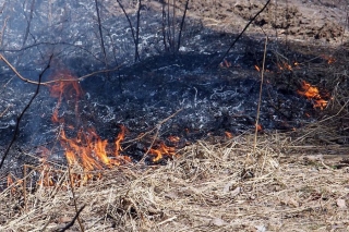 Svētdien Pierīgā dzēsti divi kūlas ugunsgrēki