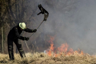 Daudzviet Pierīgā degusi kūla, zaru kaudzes un atkritumi