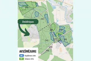 "Rīgas meži" plāno meža kopšanas darbus pie Dzidriņām Ropažu novadā