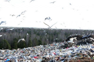 "Getliņu" poligonu nevajadzēs paplašināt, ja izdosies Rīgā palielināt šķiroto atkritumu īpatsvaru un pārstrādi