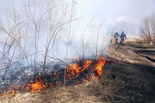 Brīvdienās Pierīgā likvidēti 13 kūlas ugunsgrēki, lielākie – Ķekavas un Olaines novados