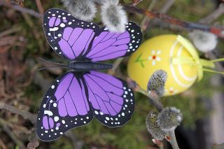 Farmaceites ieteikumi drošam svētku laikam