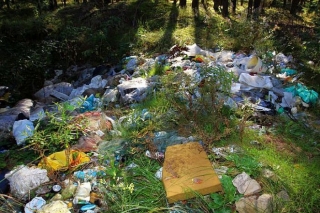 Kampaņas laikā trīskāršojies ziņojumu skaits par "Rīgas mežos" izmestajiem atkritumiem; izvests ap 40 tonnu