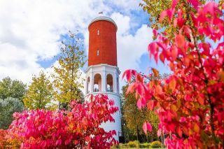 Foto: Zelta rudens iekrāso atjaunoto Ķemeru vēsturisko parku