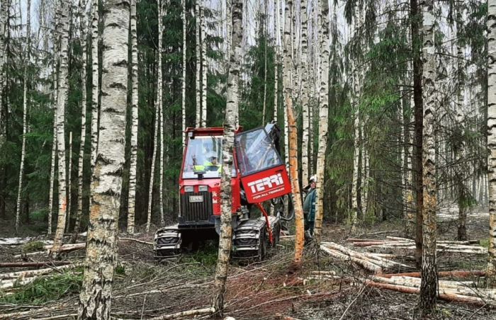 Attēls rakstam: "Rīgas meži" sāks meža kopšanu Ropažu novadā pie Skuķīšiem