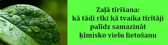 Tvaika tīrītāji