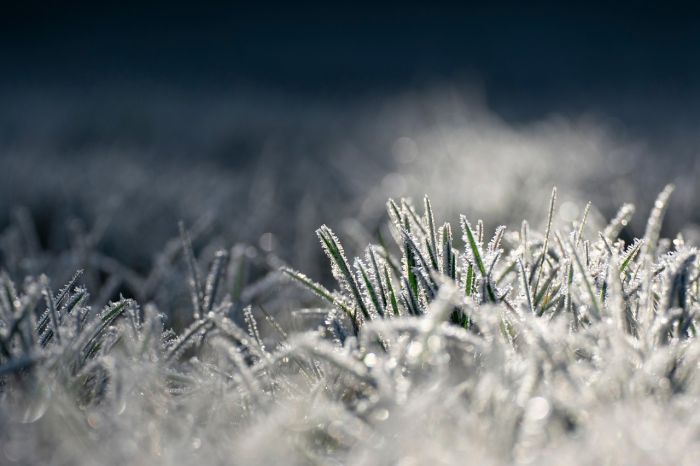 Foto - pixabay.com