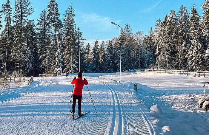 10.-11.I Latvijas čempionāts distanču slēpošanā Siguldā