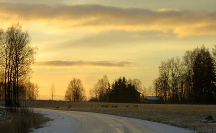 Foto - arhīvs