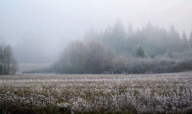 Pirmdien gaidāms sniegputenis, atkala un lietus