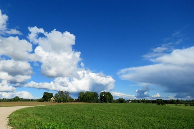 Turpmākajās dienās īslaicīgi līs un gaisa temperatūra būs mērena