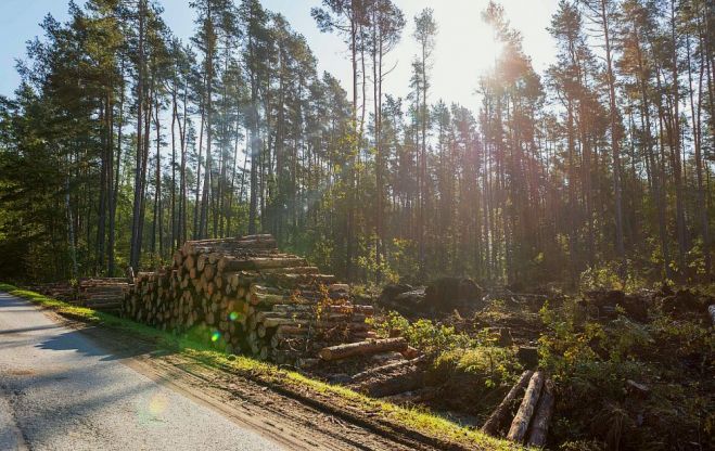 Foto - Artis Veigurs