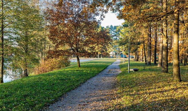 Jaunmārupes dabas parks rudenī. Foto - Mārupes novada pašvaldība