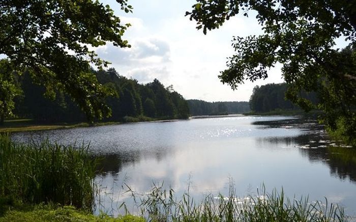 Foto - arhīvs