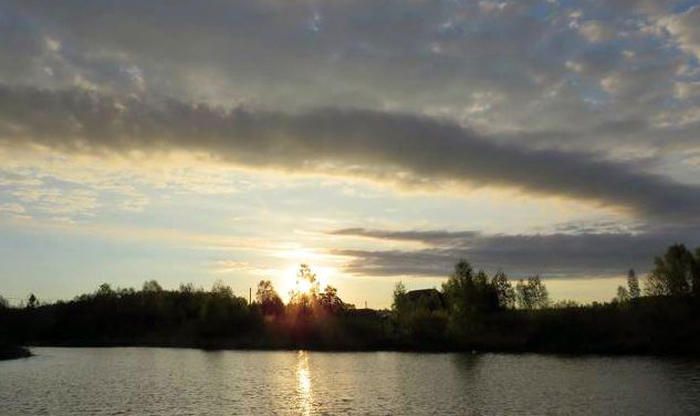 Foto - Vija Vāvere