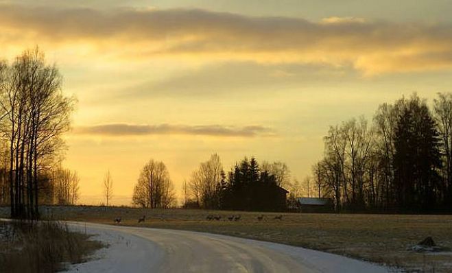 Foto - Vija Vāvere