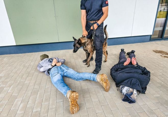 Foto - publicitātes