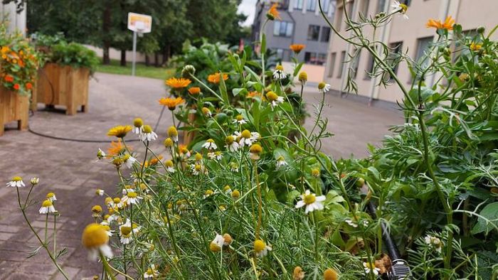 Foto - lv-pdf.panda.org