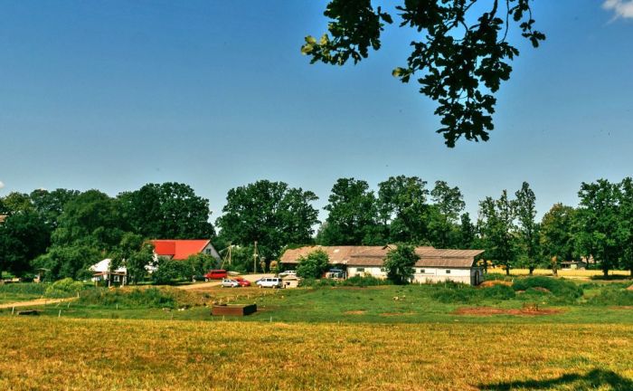 Foto - arhīvs