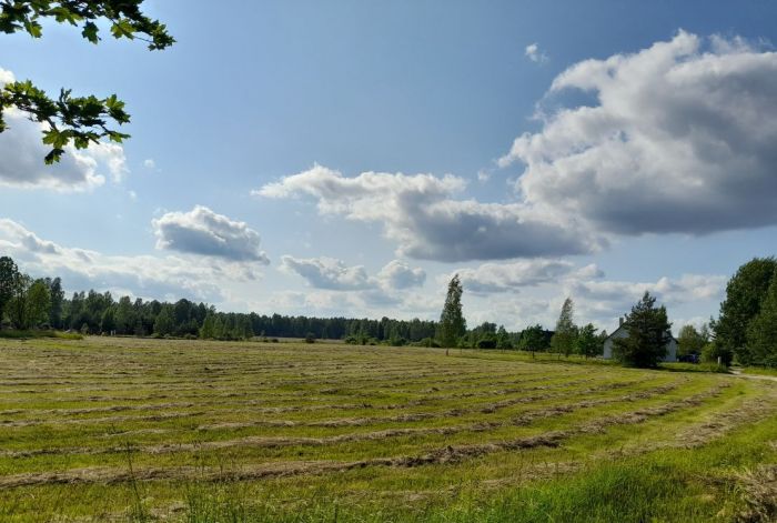 Foto - arhīvs