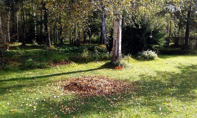 Foto - arhīvs