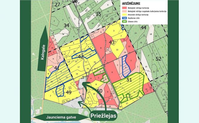 Ilustrācija - "Rīgas meži"