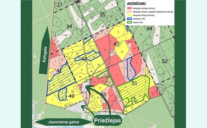 Ilustrācija - "Rīgas meži"
